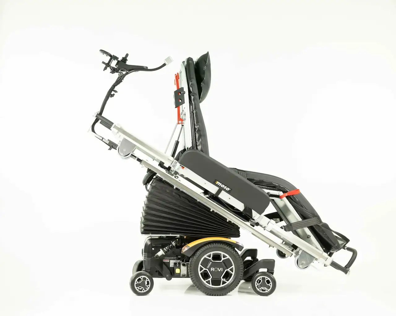 adapt adult